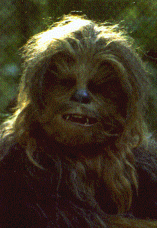 Wookie